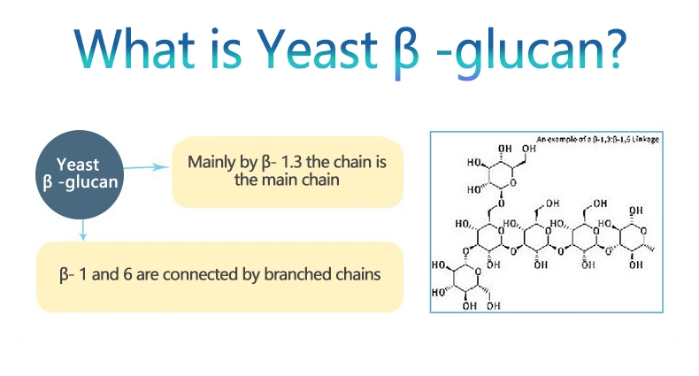 Factory Supply CAS 9012 72 0 Cosmetic Ingredients 90% 1 3 1 6 Beta Glucan