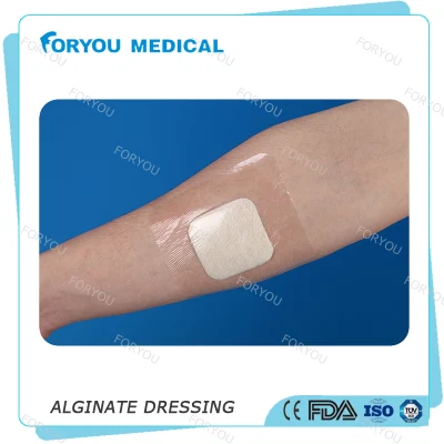 Huizhou Foryou Medical 2 g Alginat-Pad-Wundverband, Alginat-Gel-Verband, Kalzium